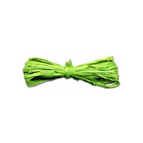 Fio Rafia Novelo 40gr Verde Claro