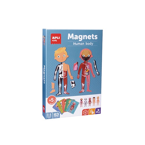 Jogo Educativo Magnético Apli Corpo Humano 63 Peças