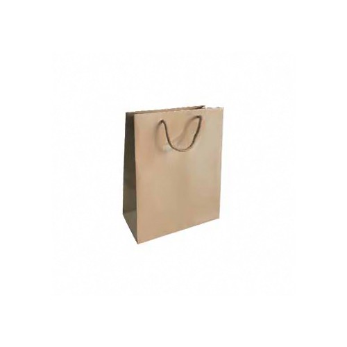 Saco 180g 24x10x31cm Papel Kraft com Asas Cordão - 10 unidades
