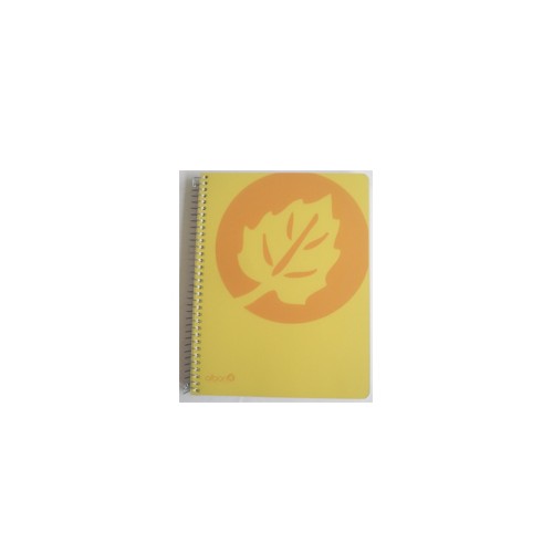 Caderno Espiral Polipropileno A5 Quad c / Furos 120Fls
